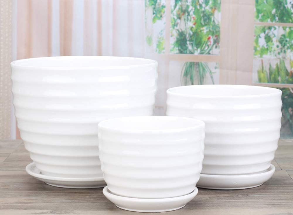 Round Modern Ceramic Garden Flower Pots White Succulent Cactus Plant Pots, Set of 3
