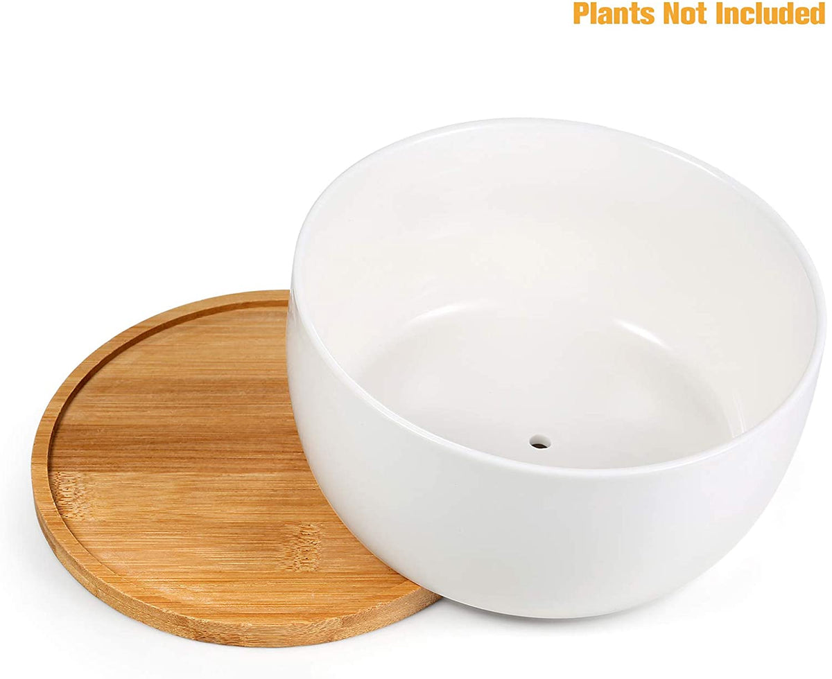 6.5 inch Round Ceramic White Succulent Cactus Planters Pots with Drainage Bamboo Trays - Plants Not Included