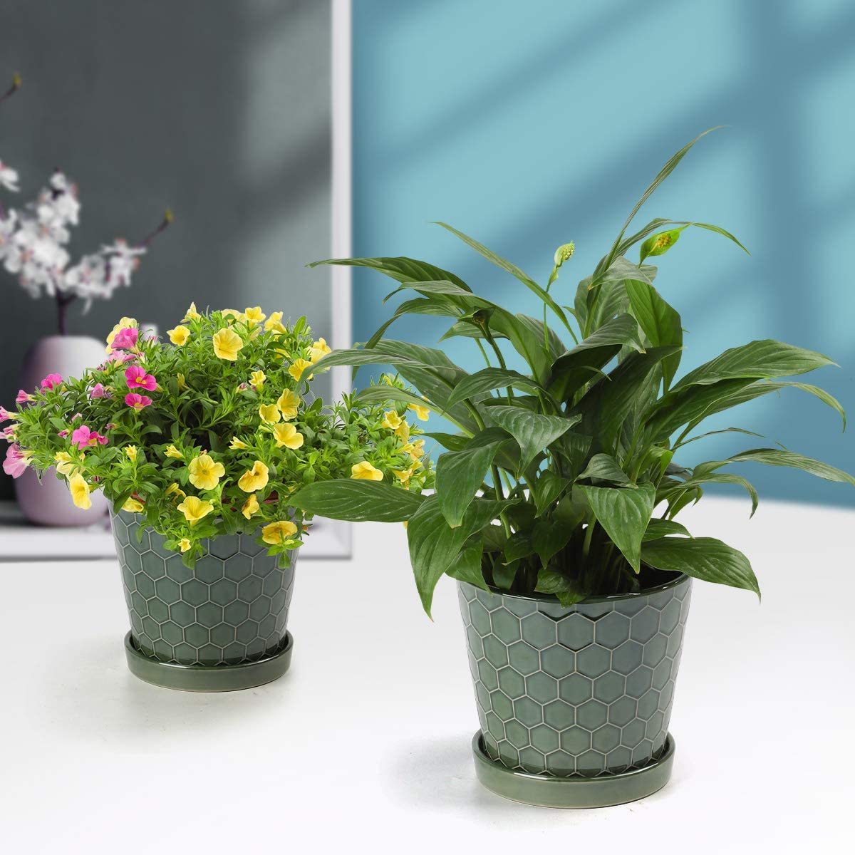 Succulent Planter –4”+5”+6” inch Ceramic Flower Pot with Drainage Holes and Ceramic Tray - Gardening Home Desktop Office Windowsill Decoration Gift Set 3 - Plants NOT Included (Patina)